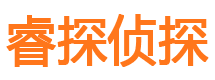 武陵侦探公司